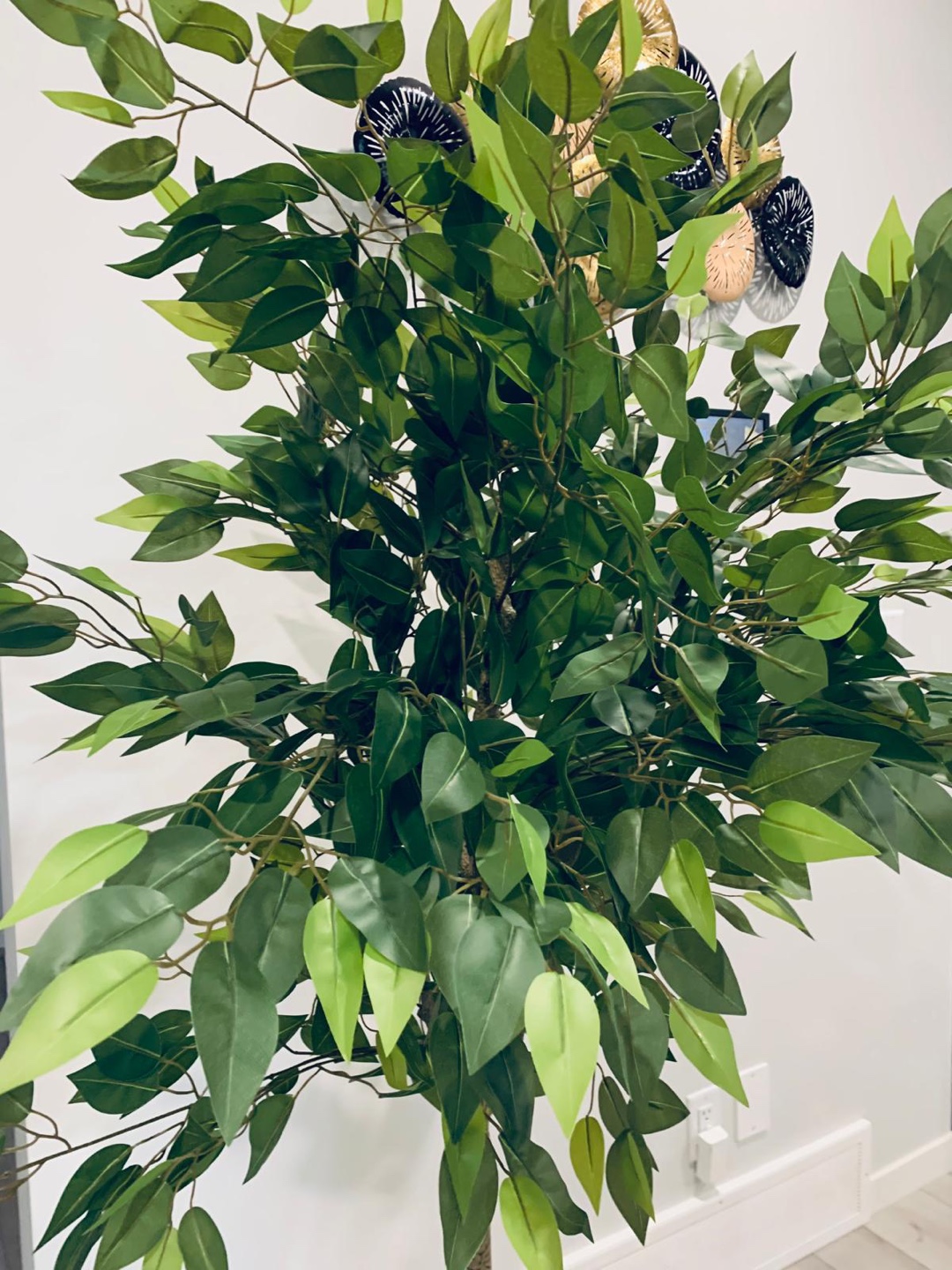 Brand new OAKRED 6FT Silk Artificial Ficus Tree with Natural Woo - photo 2