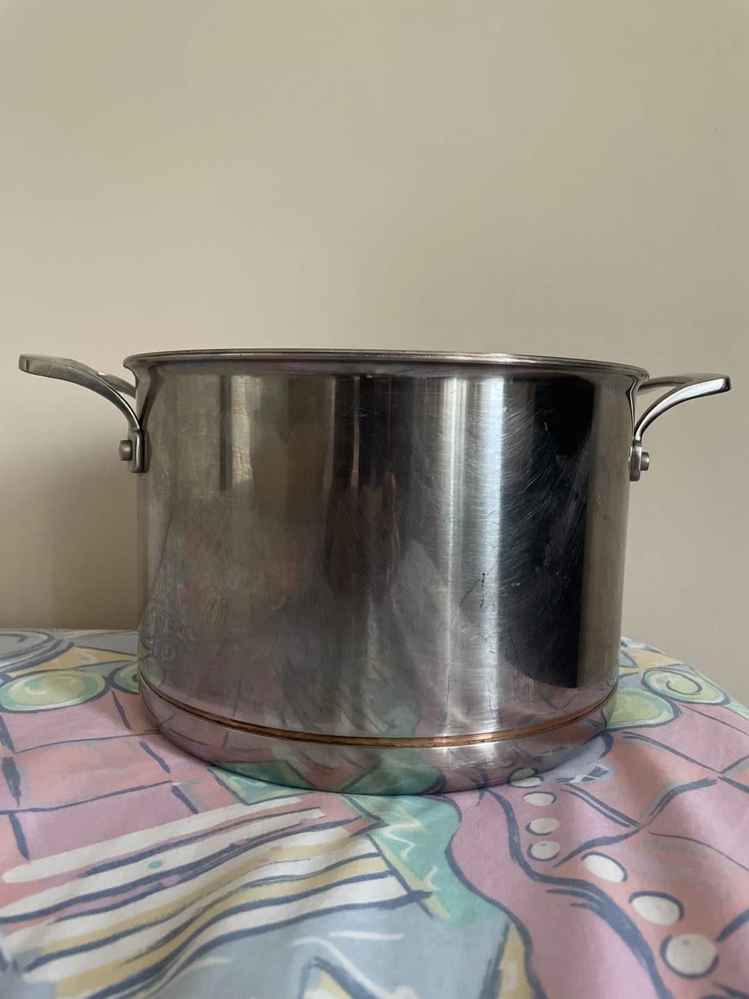 Kirkland Signature Stainless Steel Pot with lid