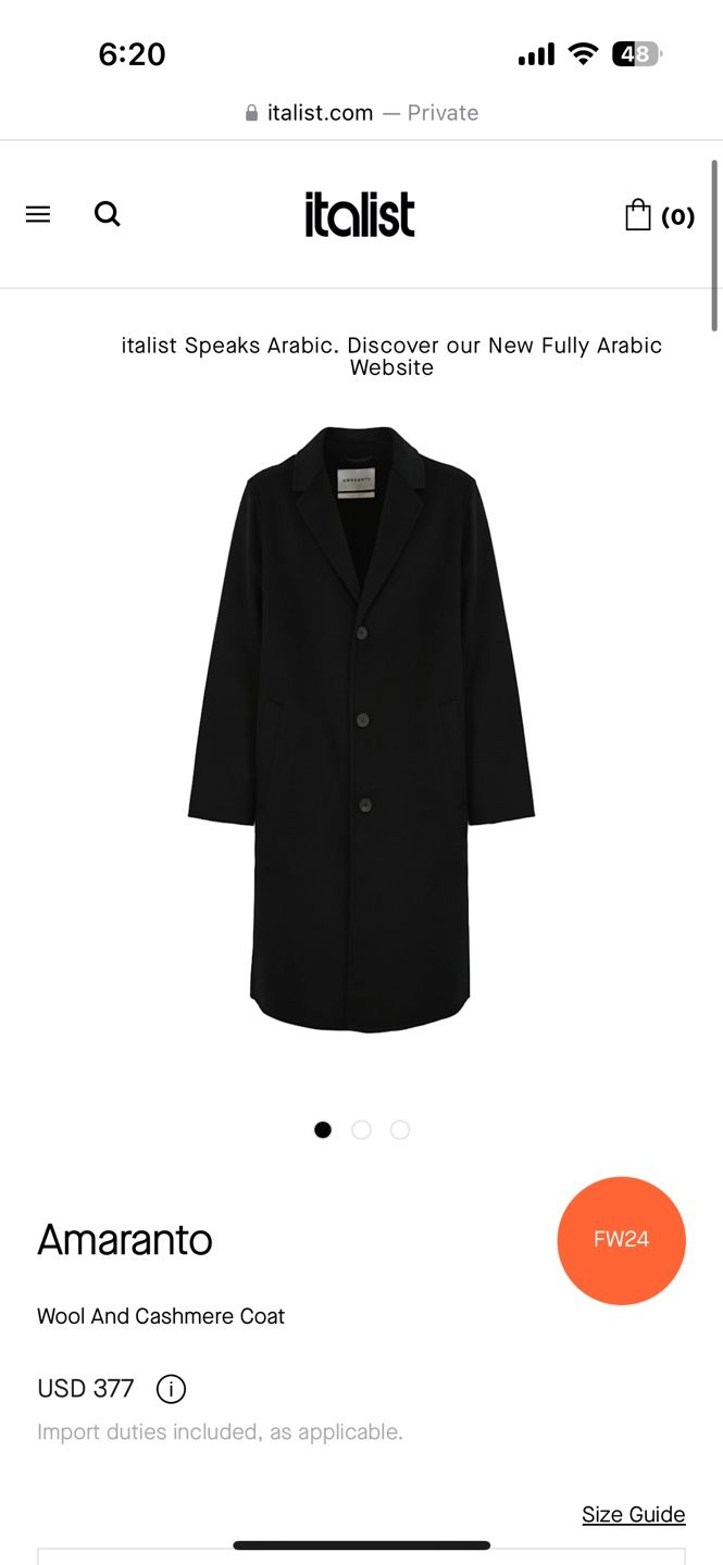 Amaranto Wool and Cashmere Coat (Brand new) - photo 2