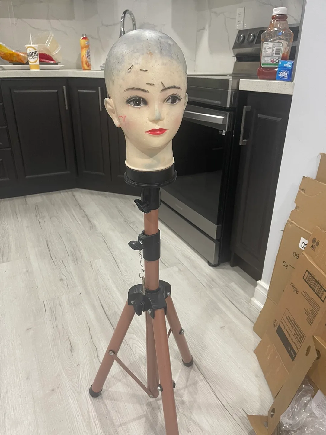 Mannequin Head and  Tripod