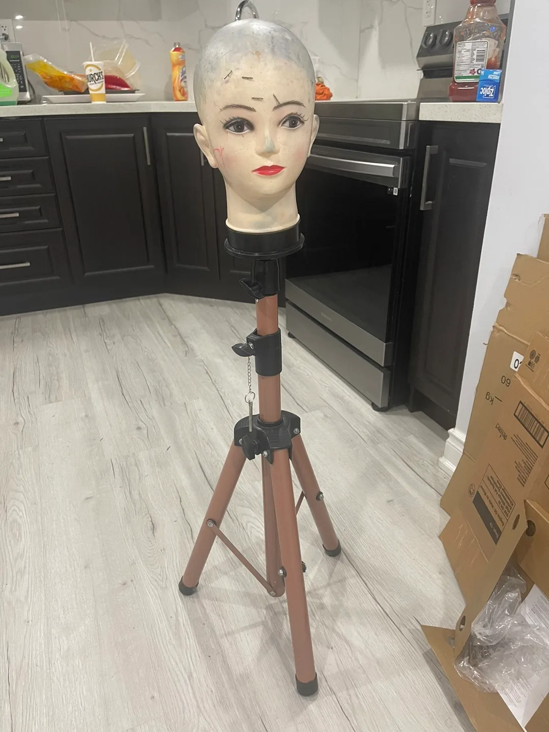 Mannequin Head and  Tripod image indicator(2)