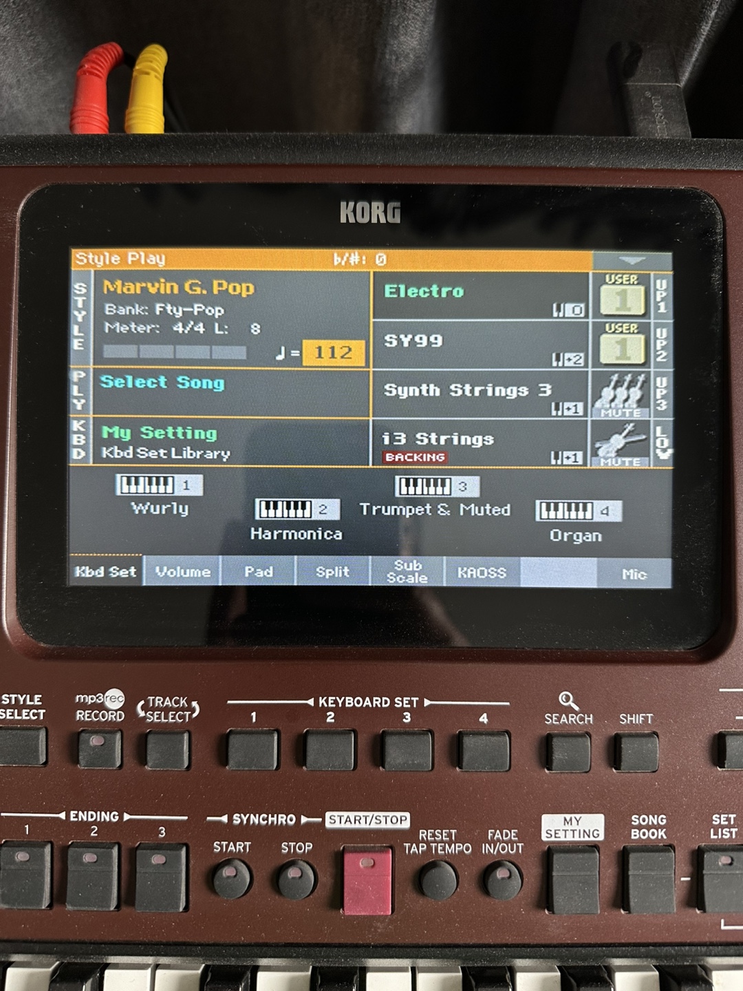 KORG Pa700 Oriental Keyboard - photo 2