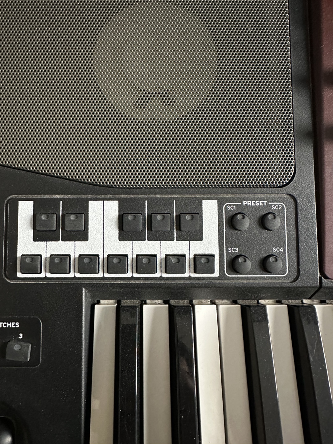 KORG Pa700 Oriental Keyboard - photo 5