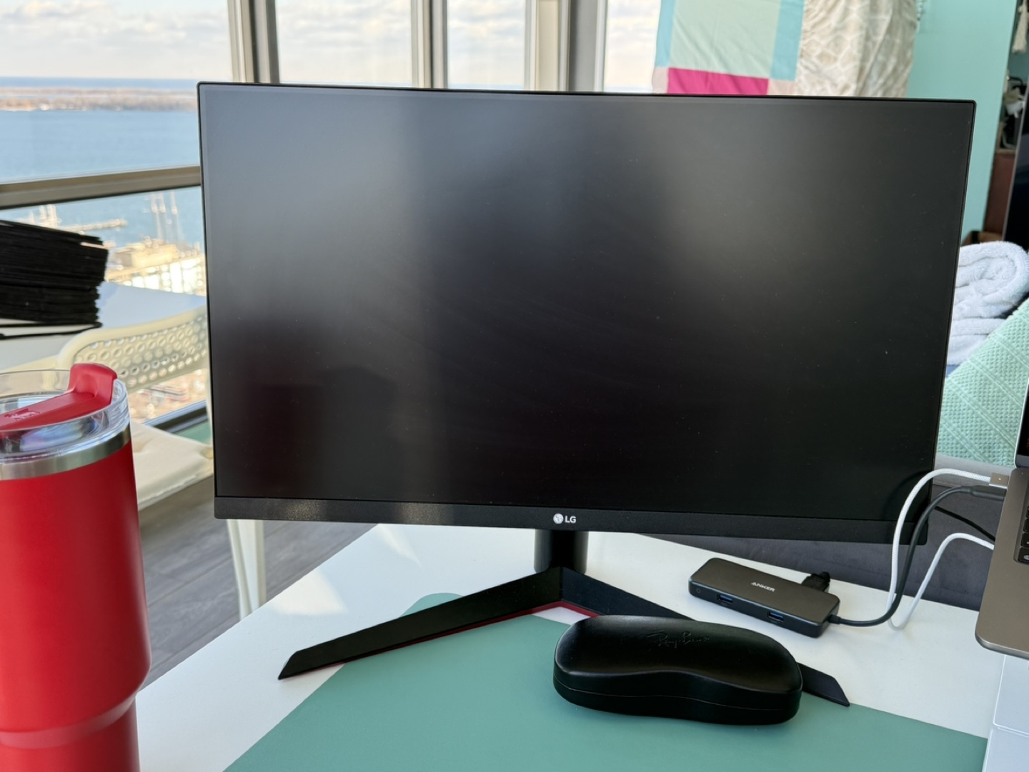 LG FHD Monitor