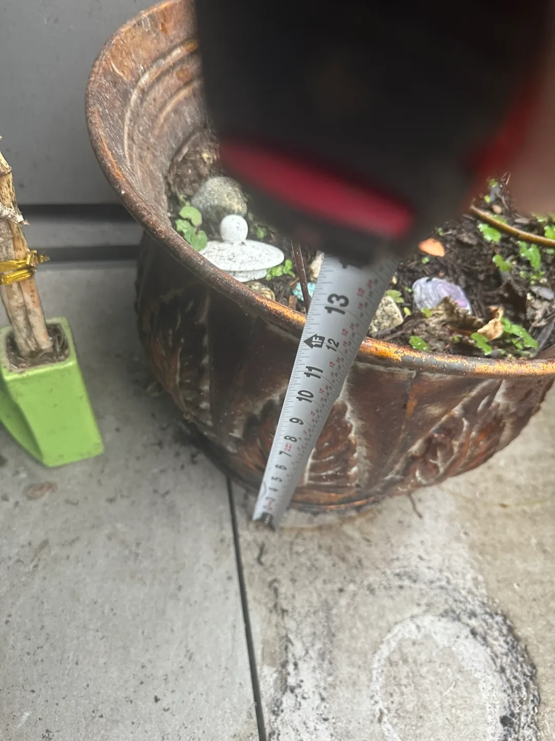 Large Decorative Planter and fig tree image indicator(5)