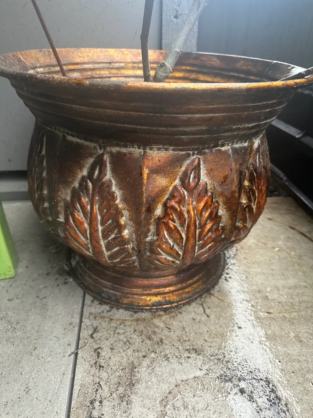 Large Decorative Planter and fig tree image indicator(2)