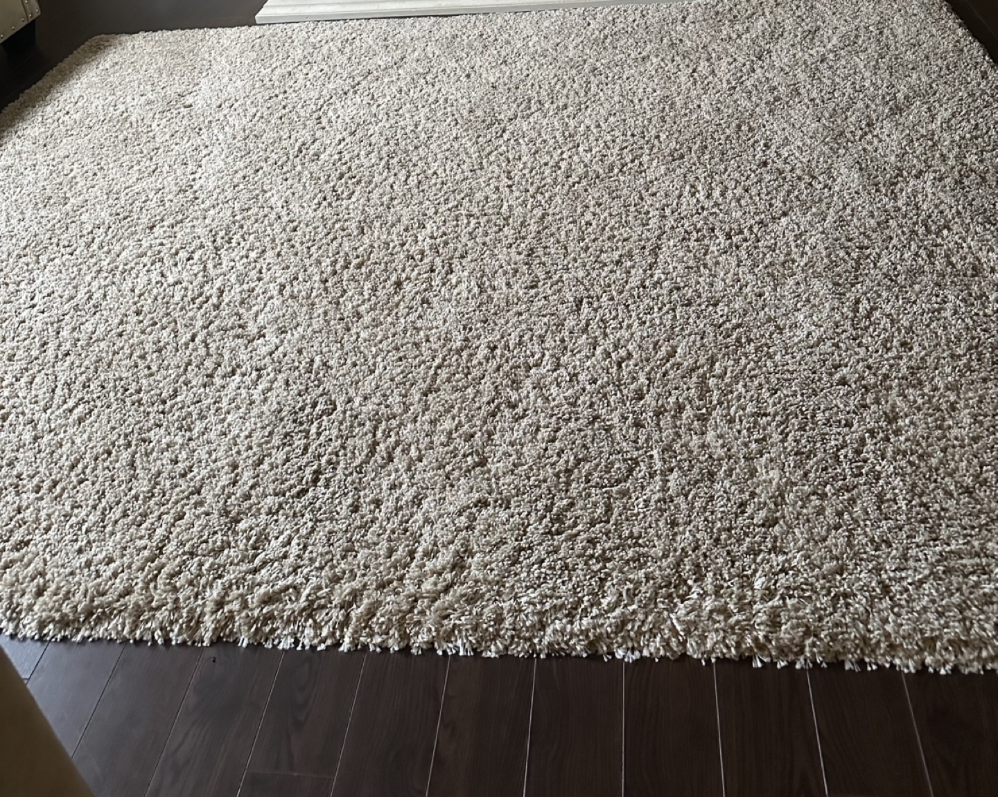 Large Fluffy carpet/ rug