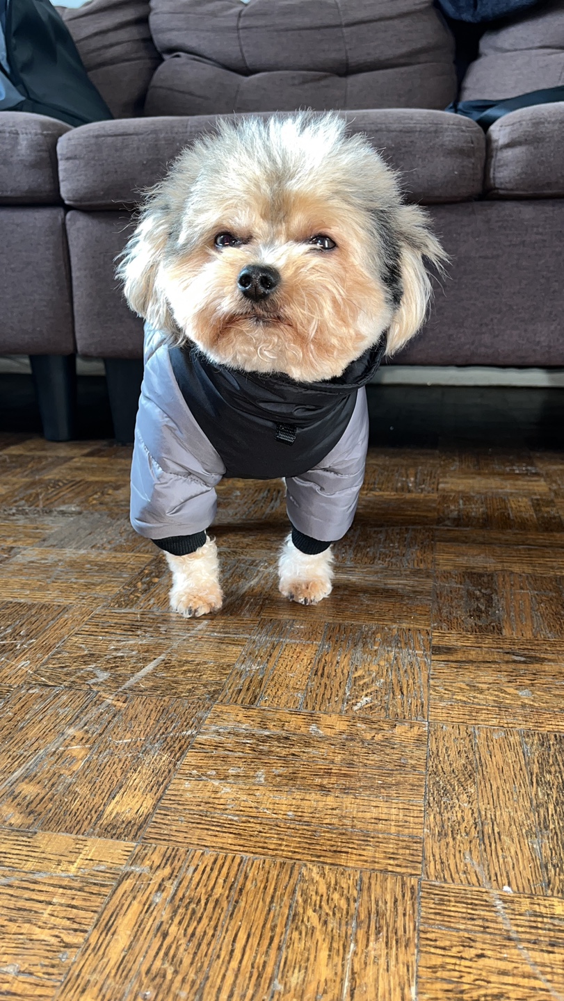 Dog Winter Coat - photo 2
