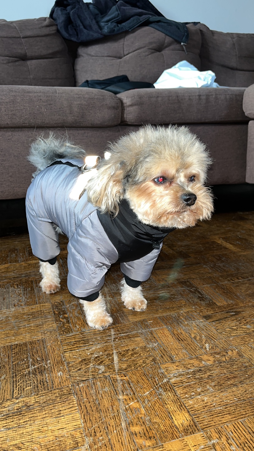 Dog Winter Coat - photo 3