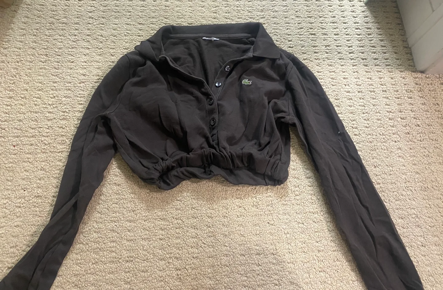 Lacoste Brown Cropped Long Sleeve Jumper image indicator(4)