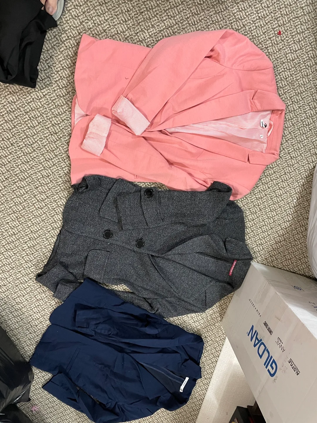 Women's Clothing image indicator(6)