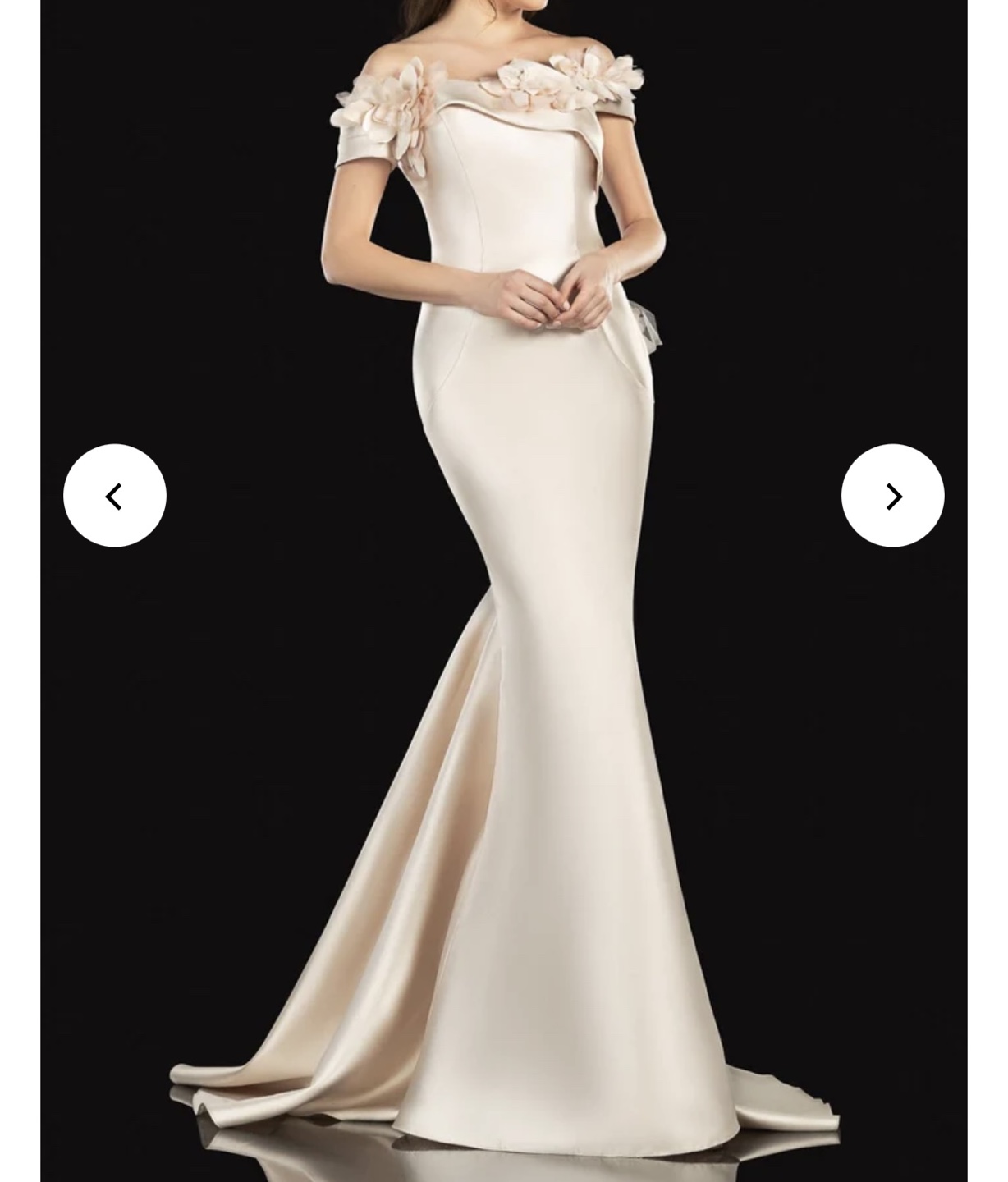 Terani Off Shoulder Mermaid Evening Gown - photo 2