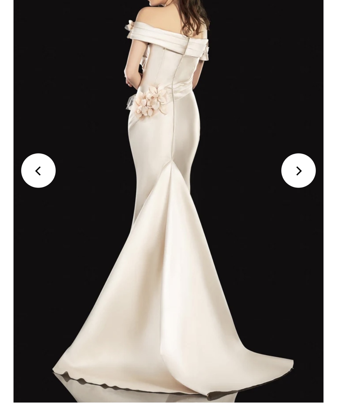 Terani Off Shoulder Mermaid Evening Gown