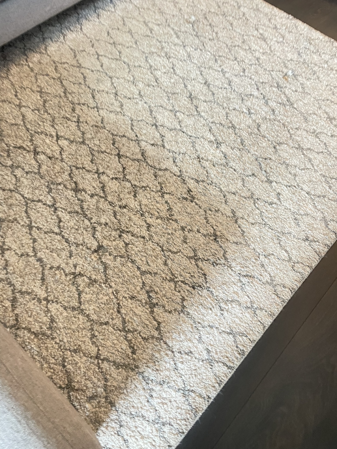 Beige with grey pattern area rug/carpet - photo 2