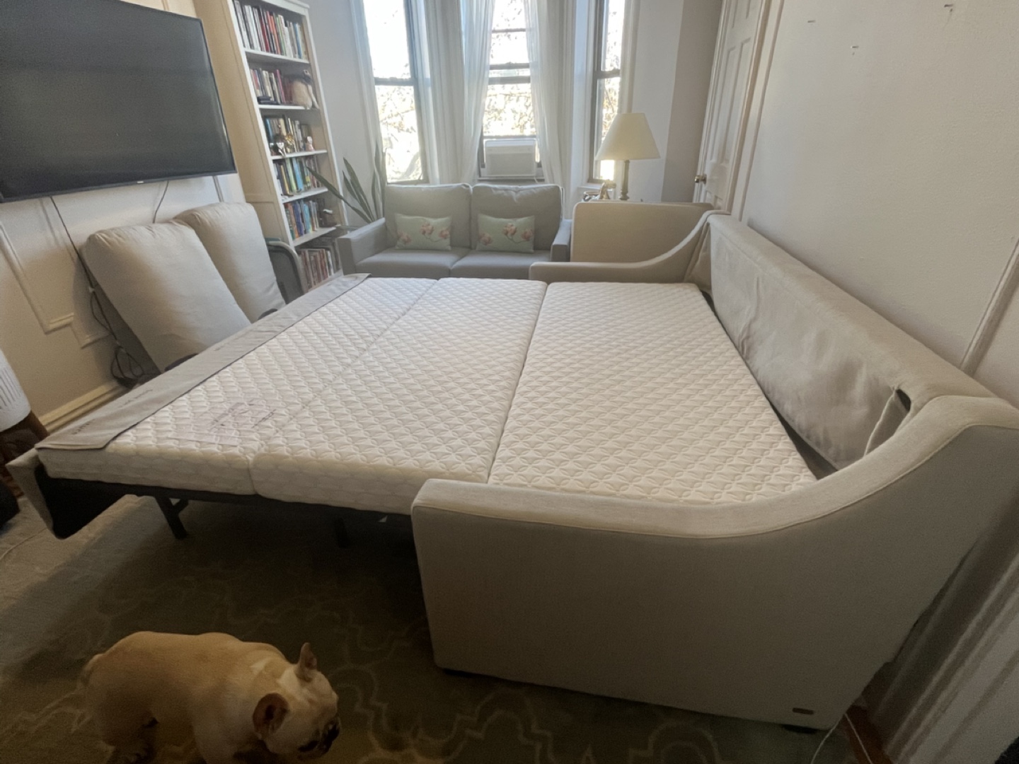 American Leather Sleeper Sofa Queen Plus - photo 4
