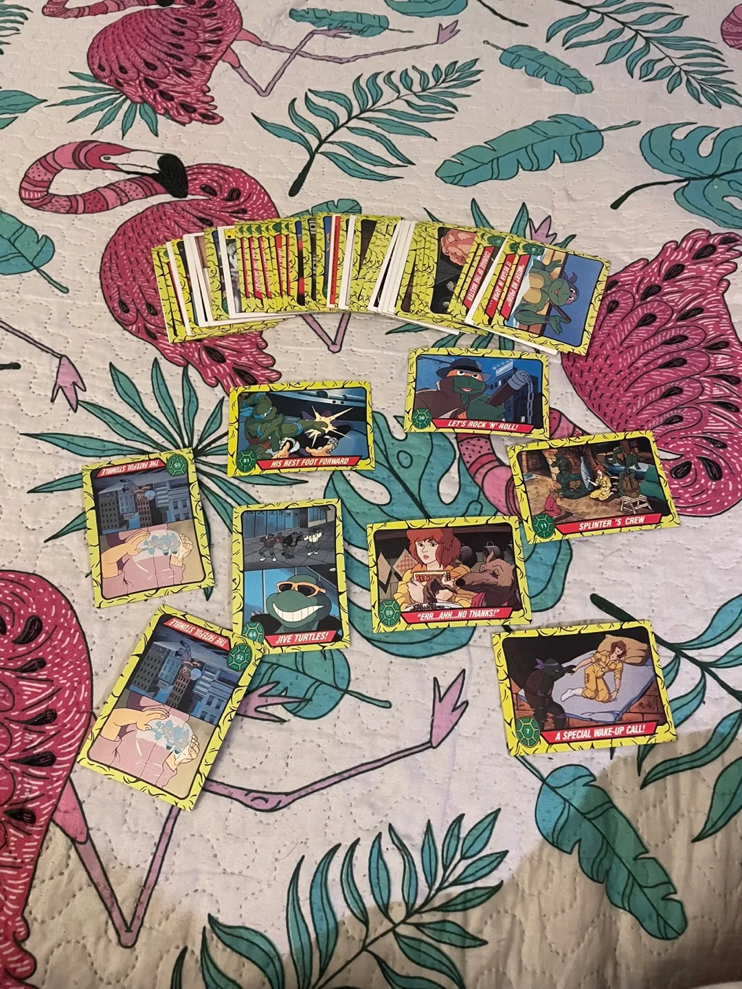 Teenage Mutant Ninja Turtles Trading Cards image indicator(2)