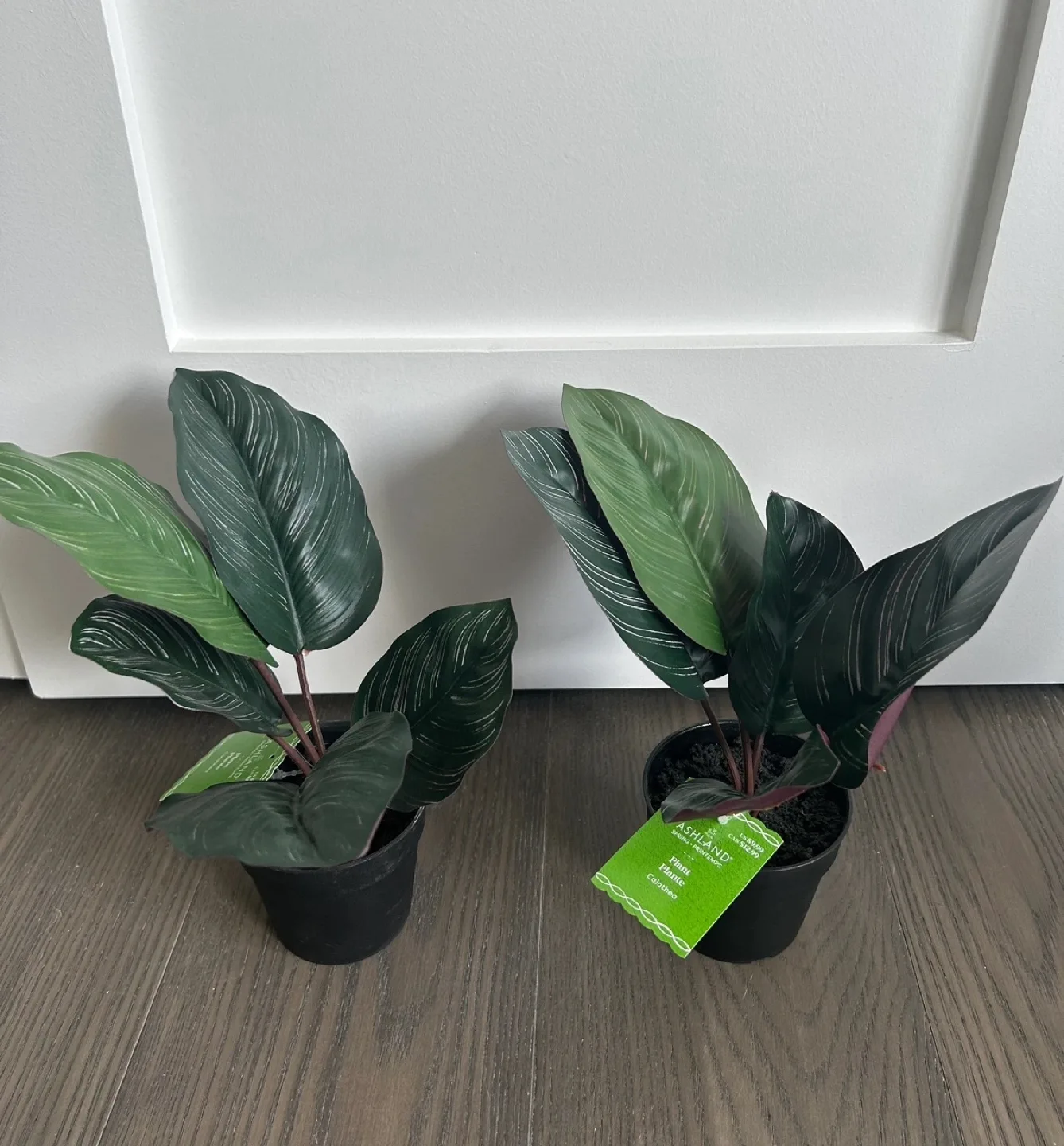 Small Artificial Plants thumbnail