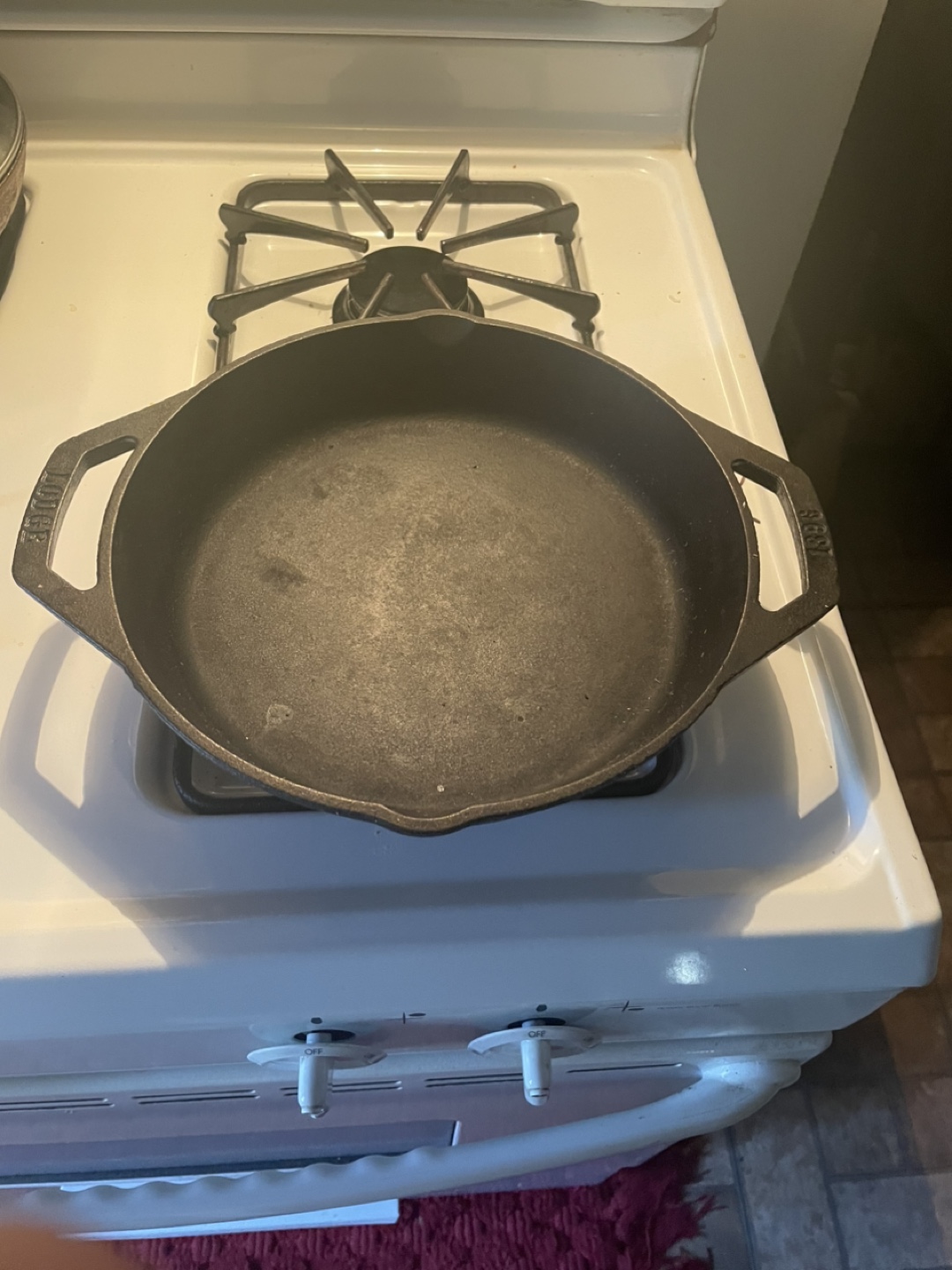 Lodge Cast Iron Skillet