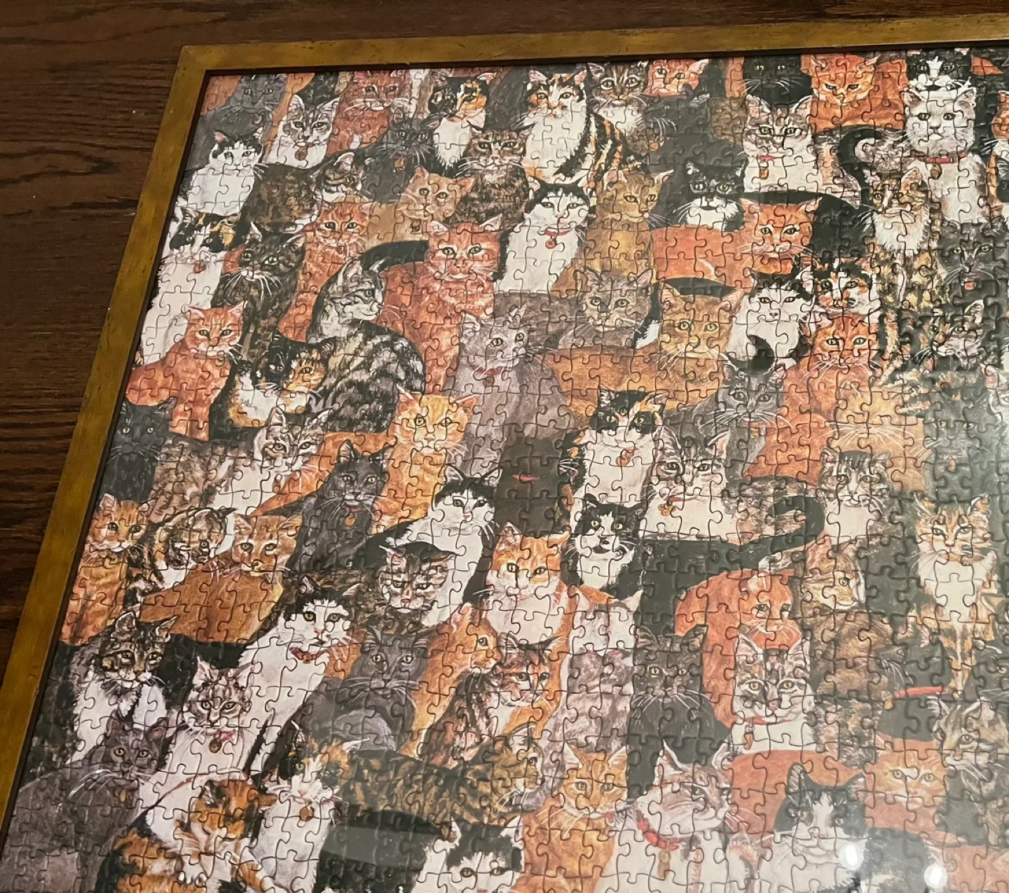 Cat Puzzle with wood frame image indicator(2)