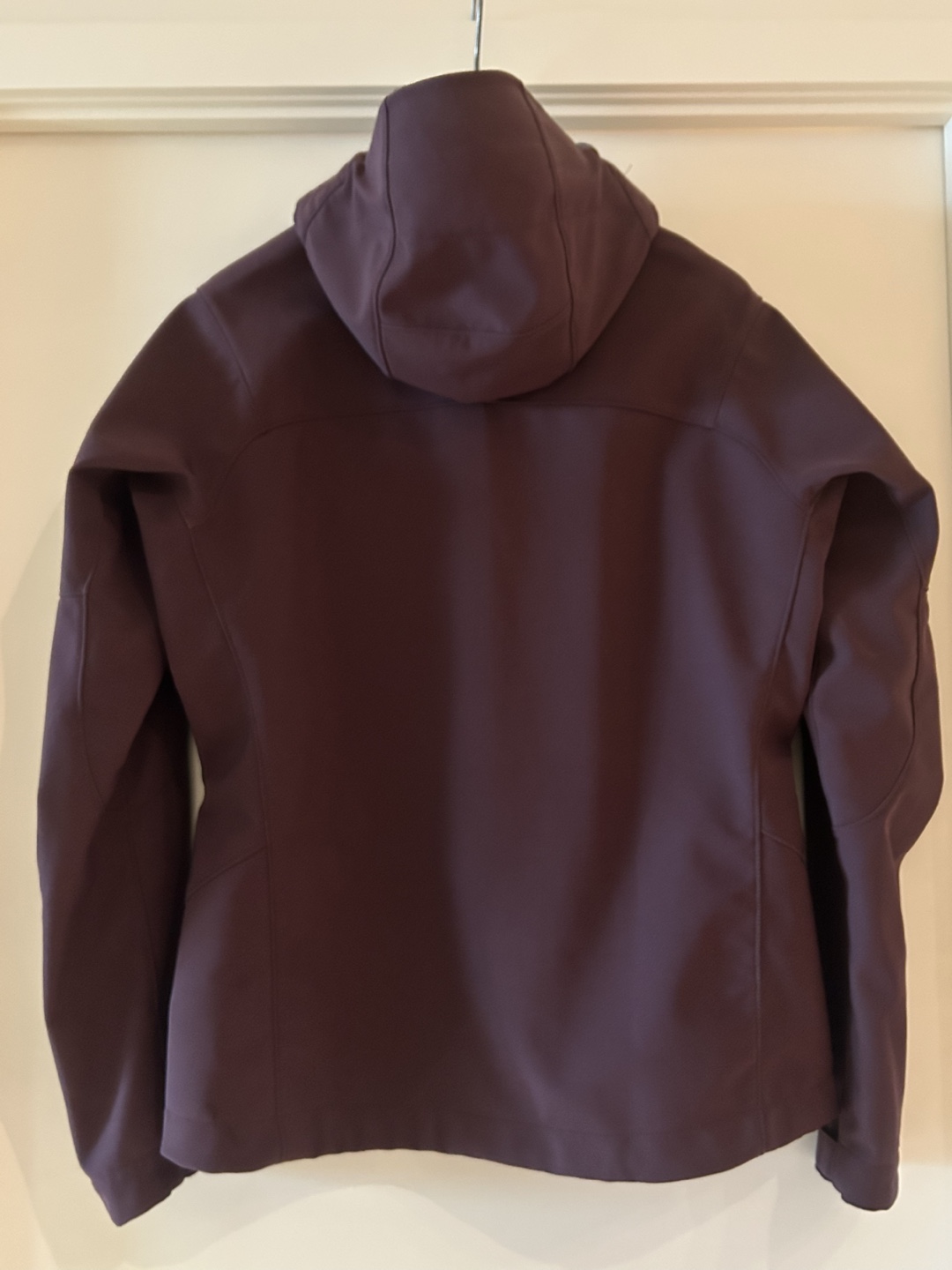Women’s Patagonia Coat size large - photo 2