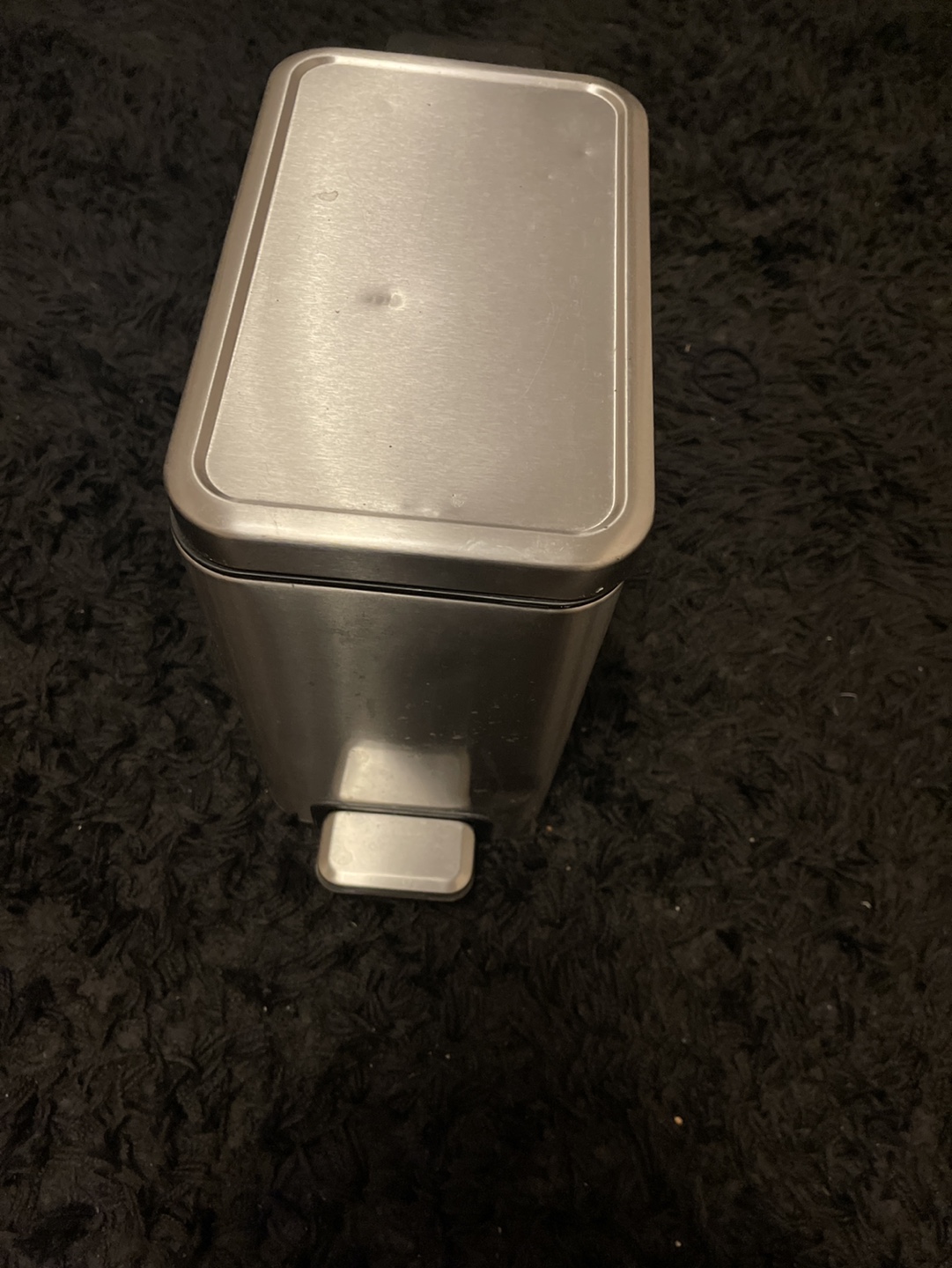 Small Stainless Steel Step Trash Can