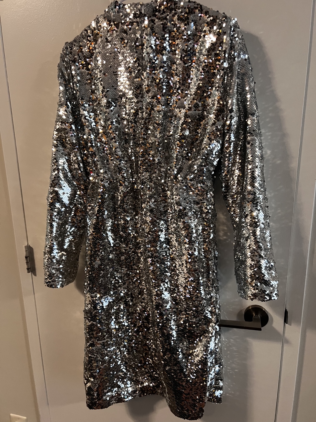 Nasty Gal Silver Sequin Dress - photo 3