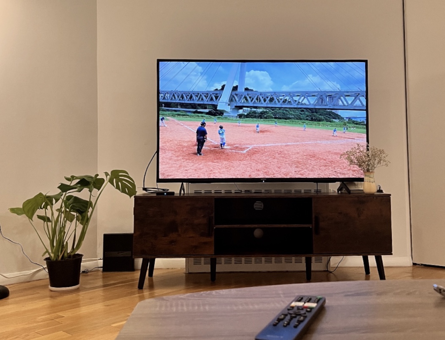 Wooden TV stand for 55 inch TV