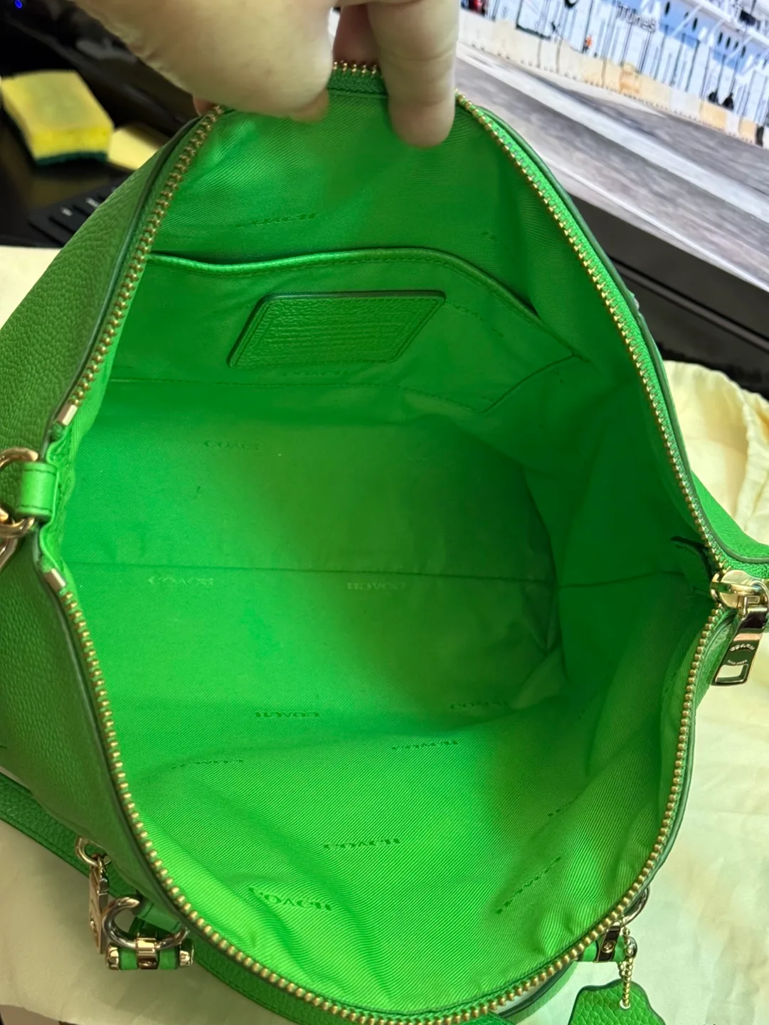 Coach Green Leather Handbag image indicator(3)