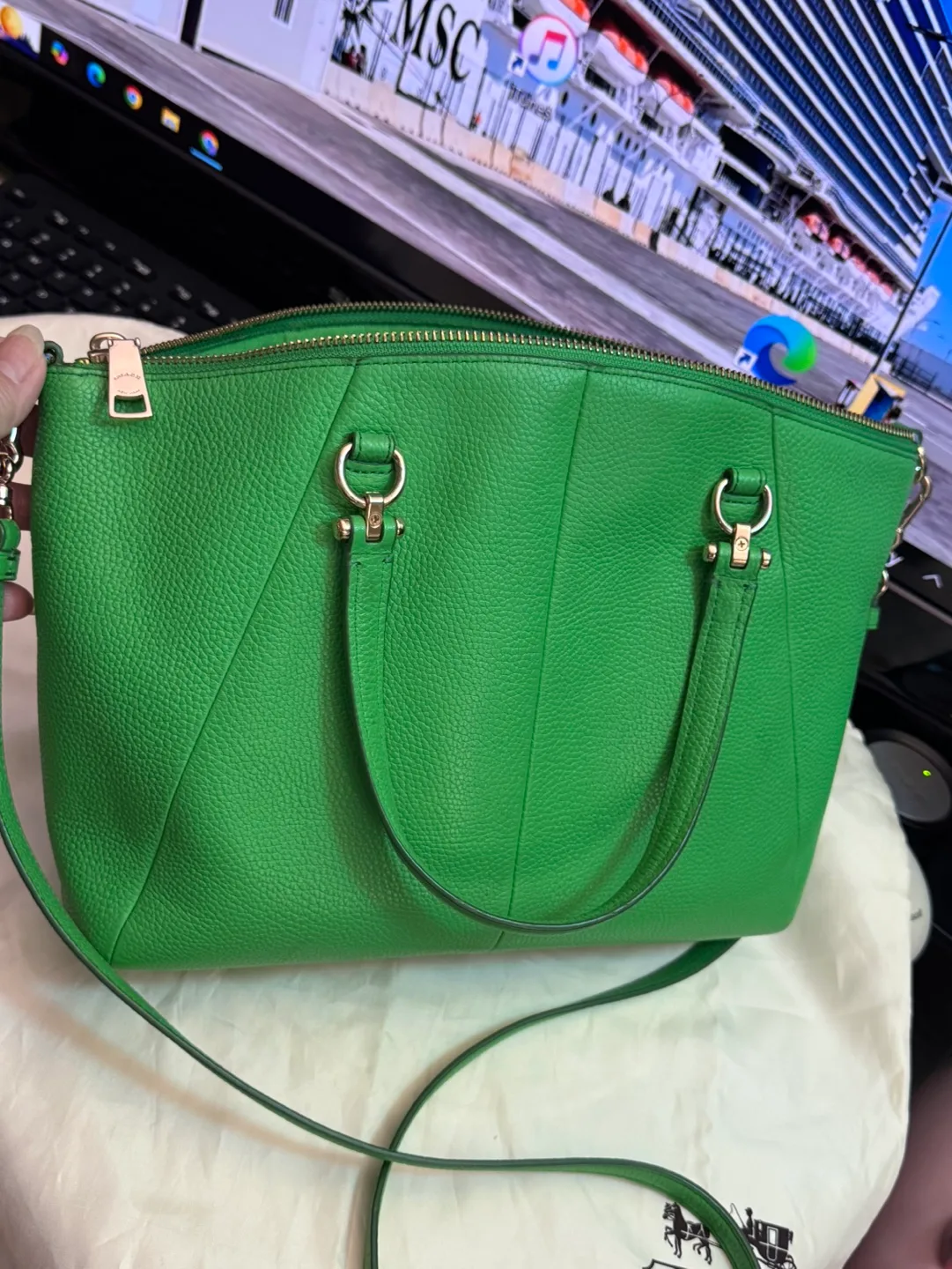 Coach Green Leather Handbag image indicator(2)