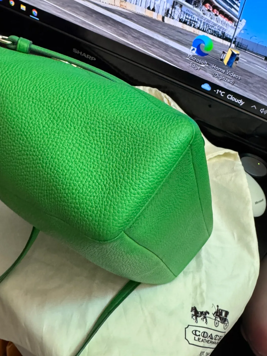 Coach Green Leather Handbag image indicator(6)