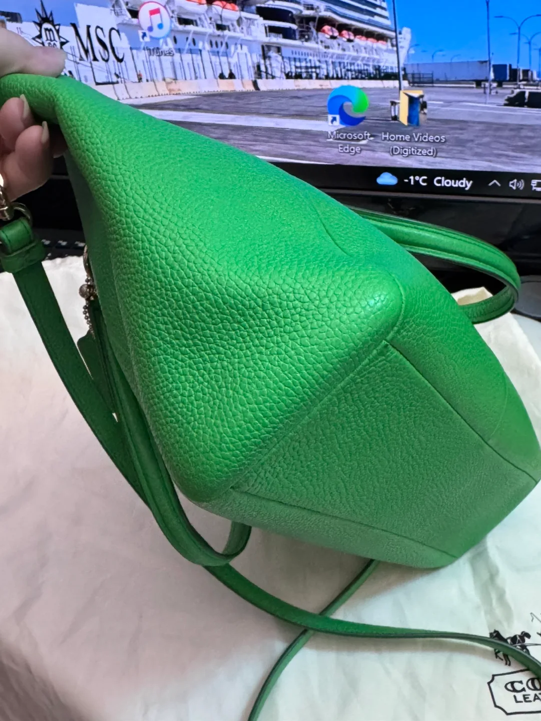 Coach Green Leather Handbag image indicator(7)