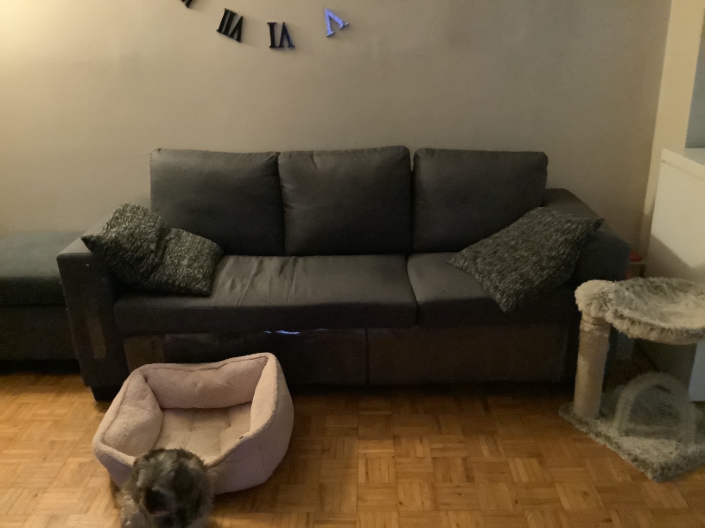 IKEA Friheten Sectional Sofa