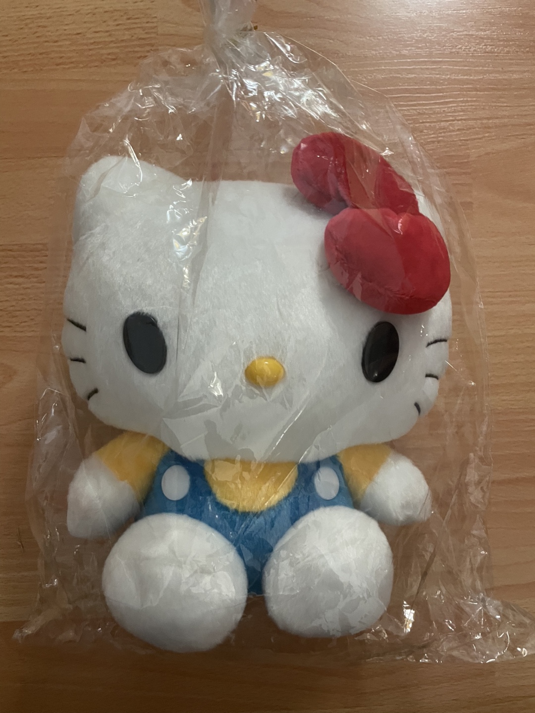 Hello Kitty Plush BRAND NEW ‼️