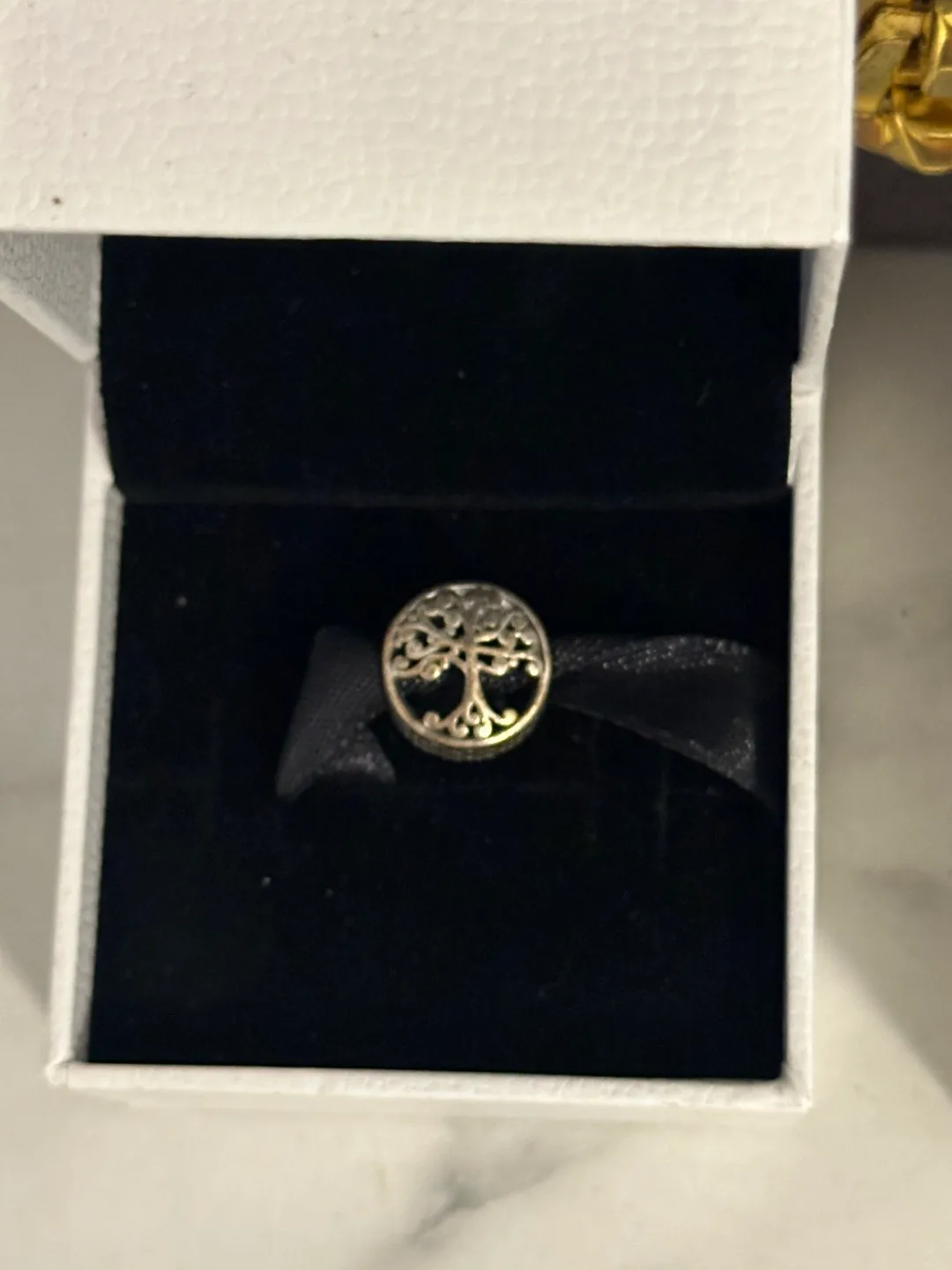 Pandora Bracelet and Charms image indicator(3)