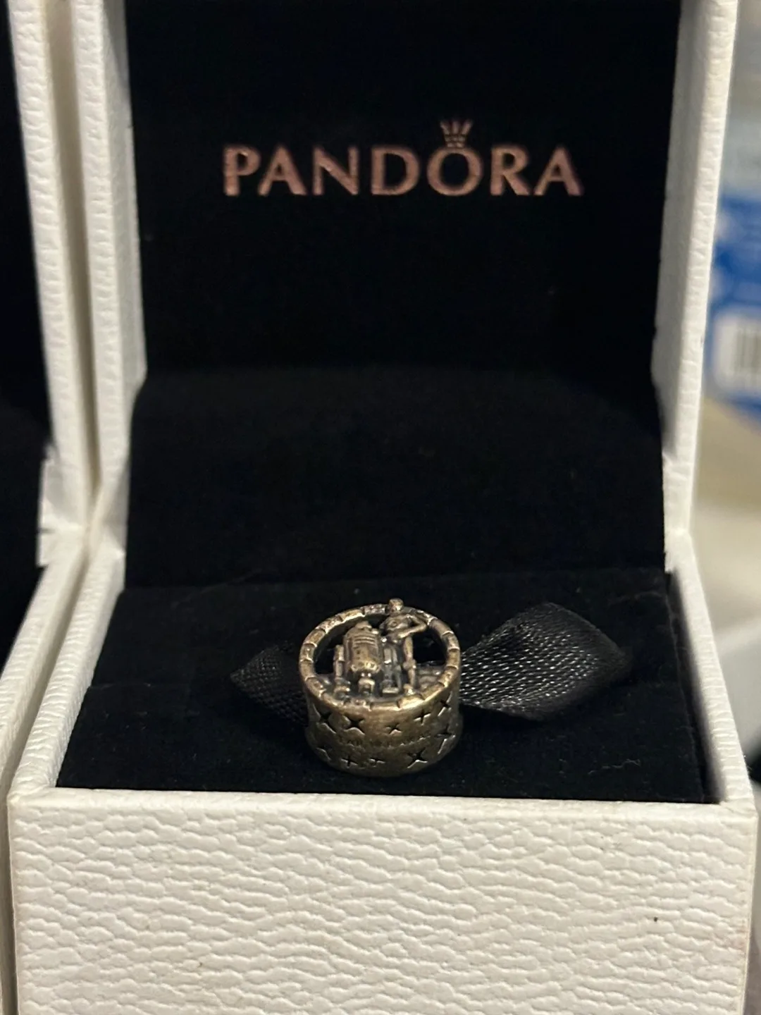 Pandora Bracelet and Charms image indicator(6)