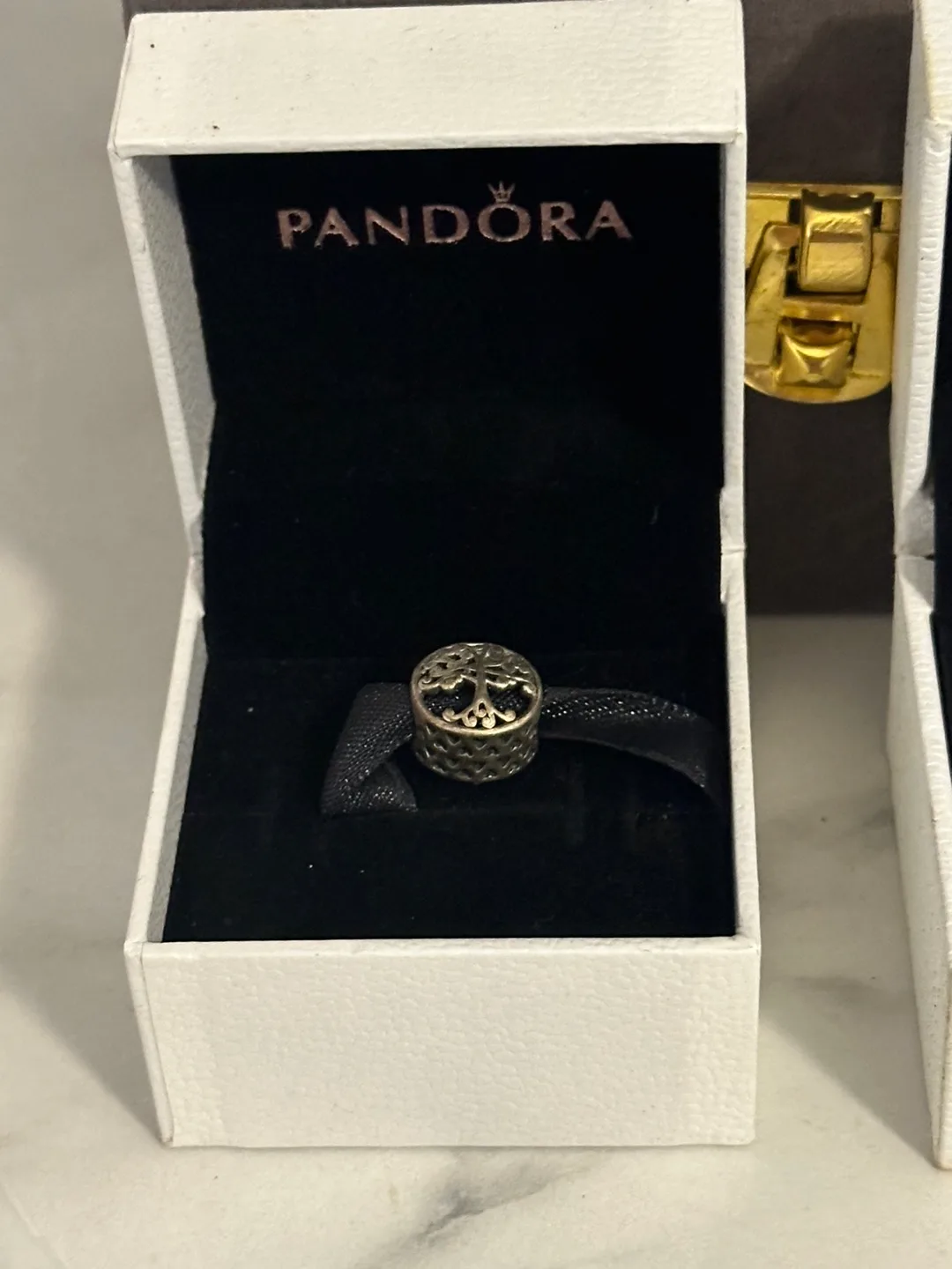 Pandora Bracelet and Charms image indicator(2)