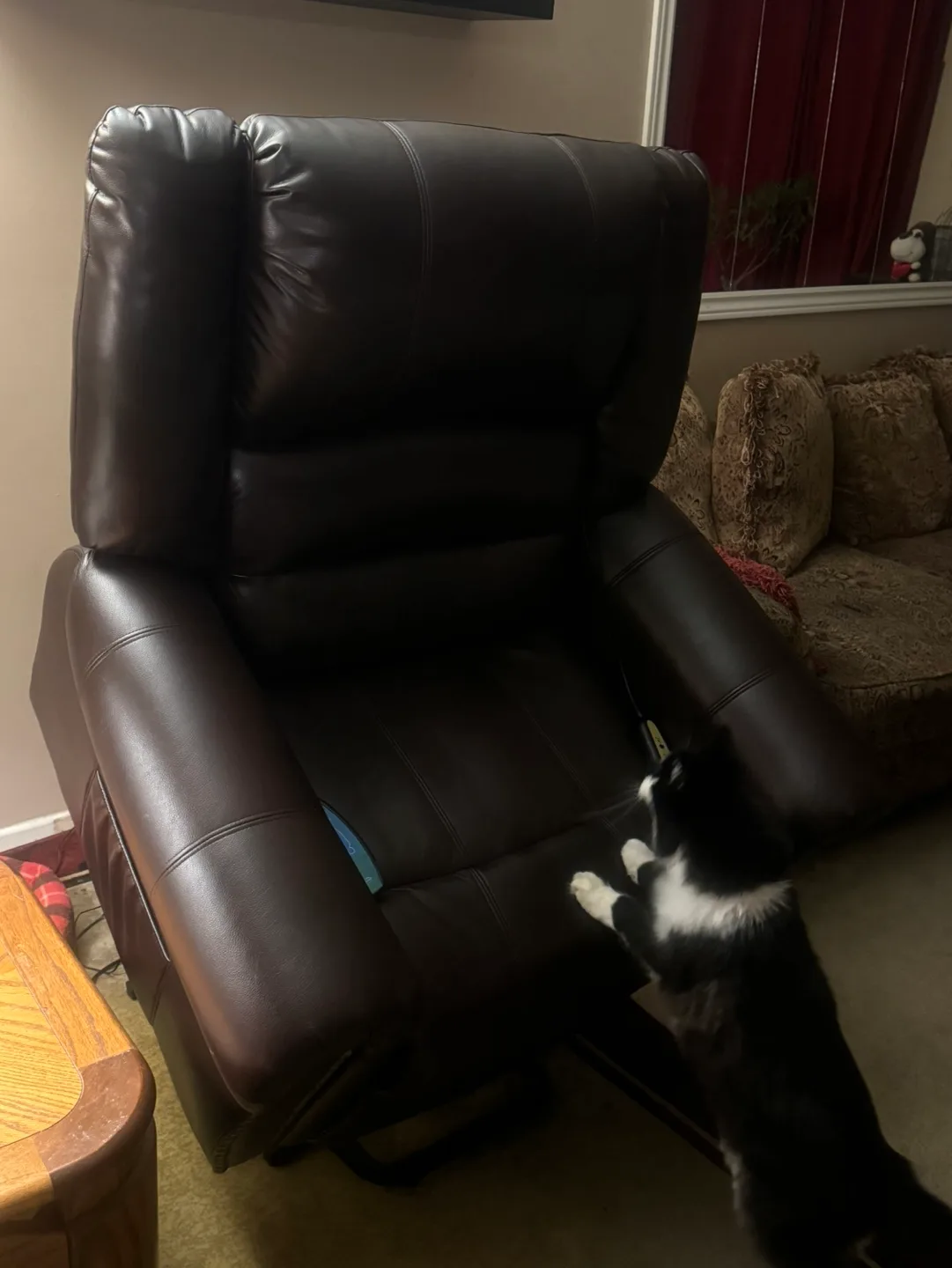 Elderly - Lift / Reclining / Massage / Heated / Chair image indicator(9)