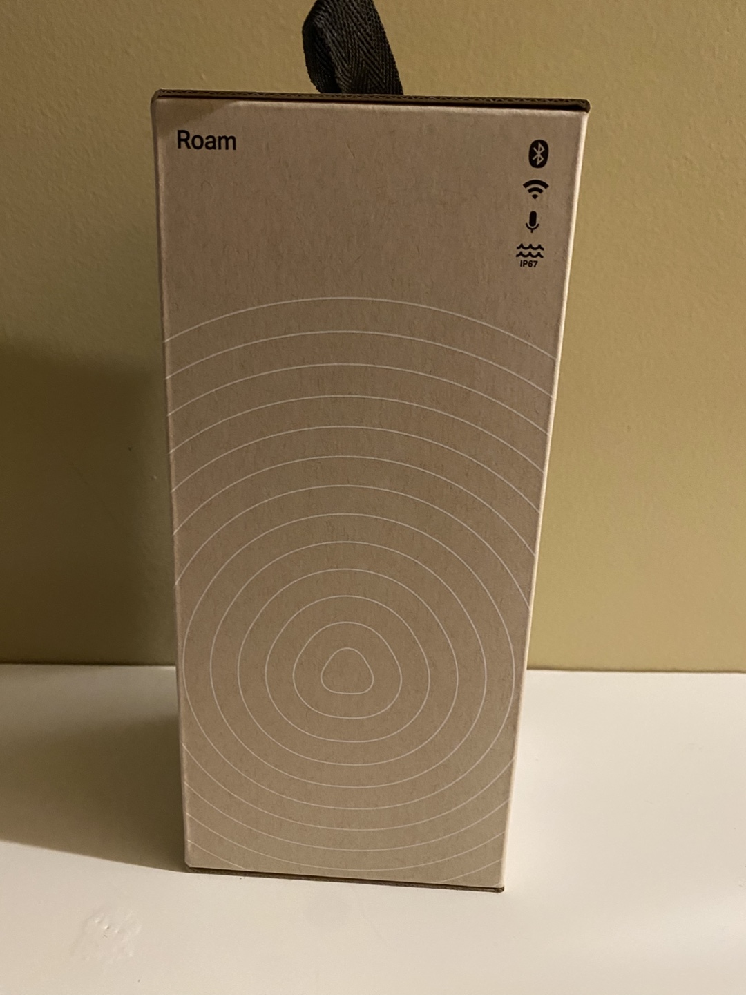 Sonos Roam Portable Smart Speaker - photo 4