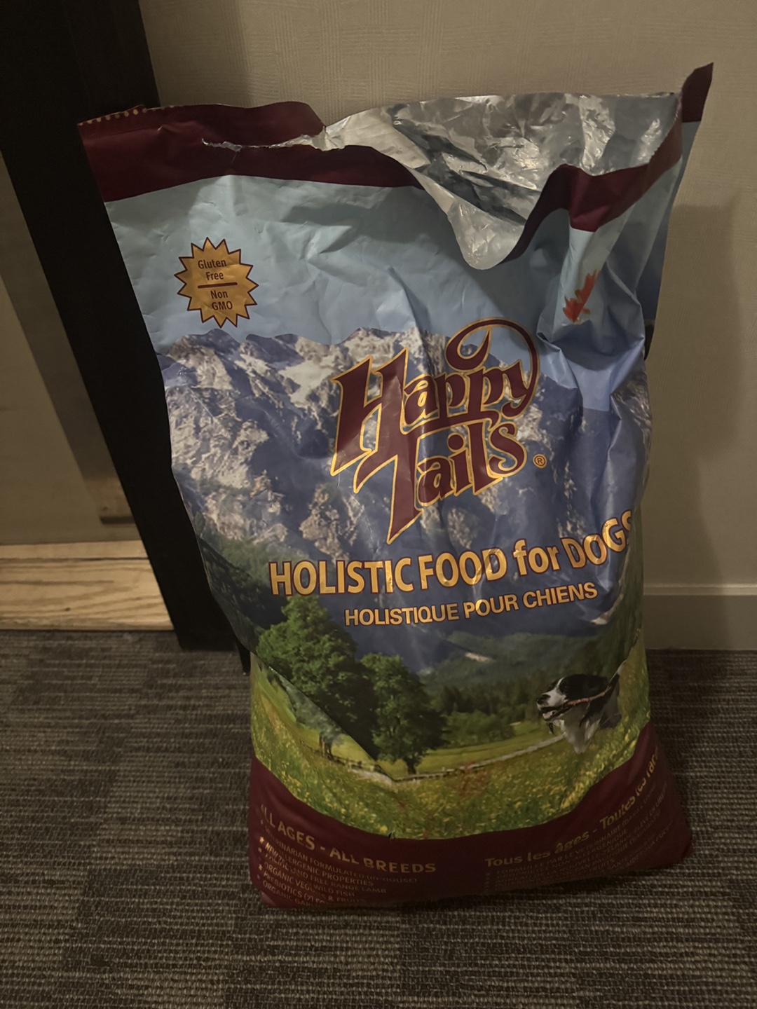 Q holistic dog food best sale