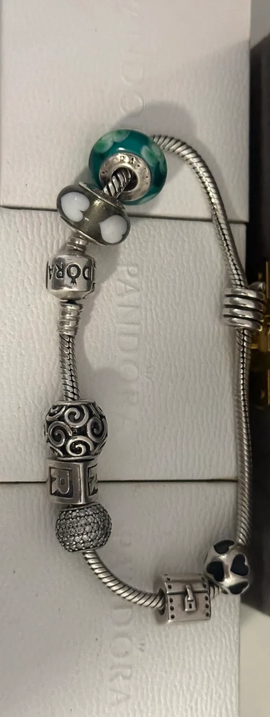 Pandora Charm Bracelet & Silver Bracelet image indicator(6)