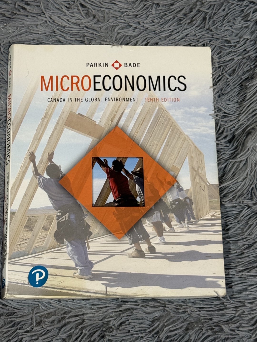 Microeconomics Textbook 10th Edition