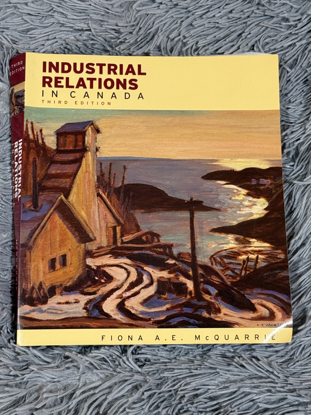 Industrial Relations in Canada 3rd Edition Textbook