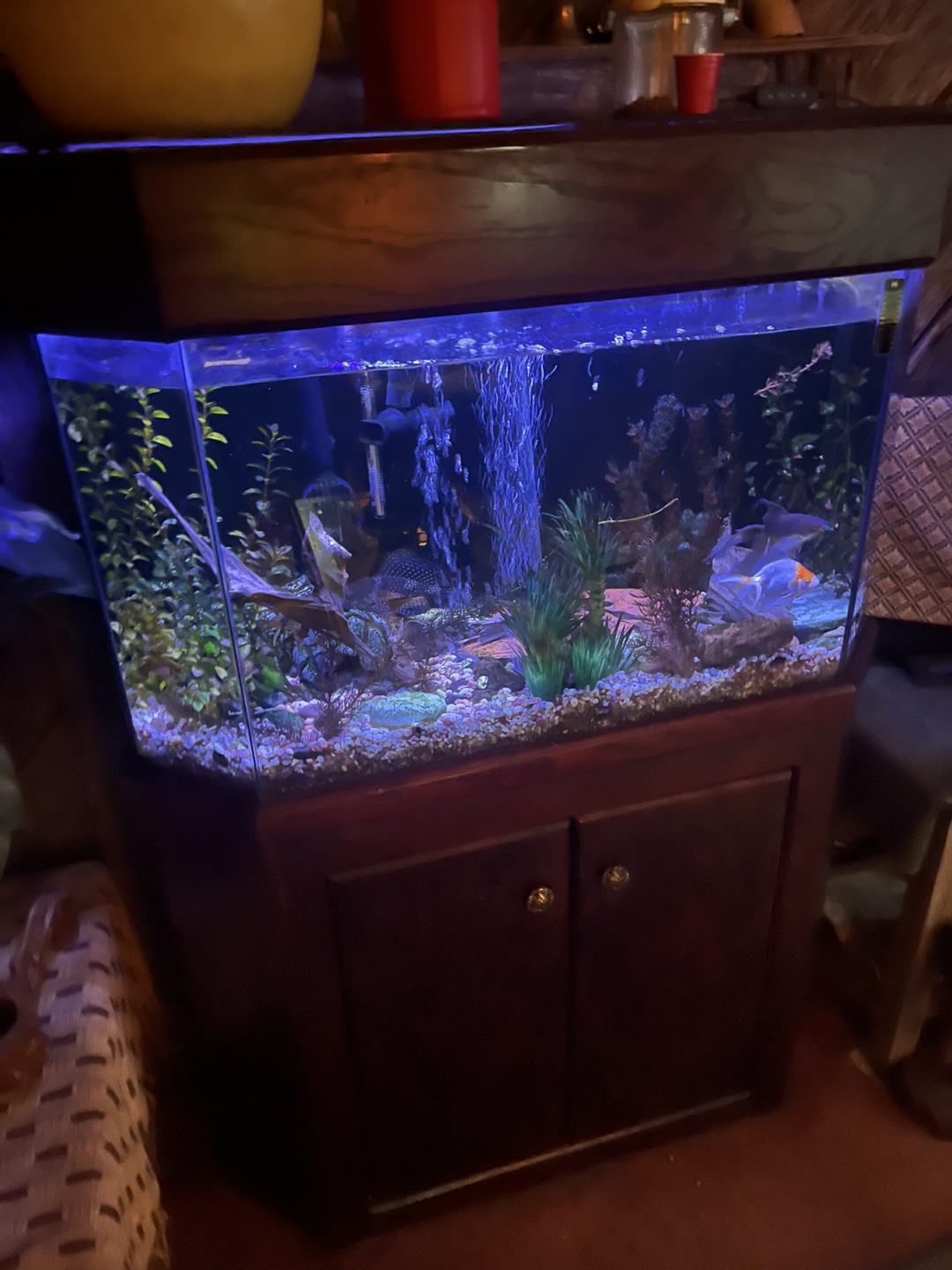 Large Aquarium with Stand - photo 2
