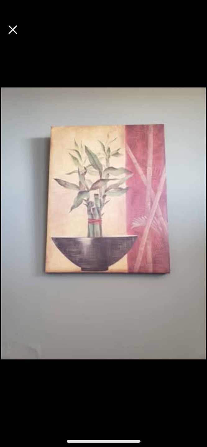 Framed Artwork - Bamboo and Bowl