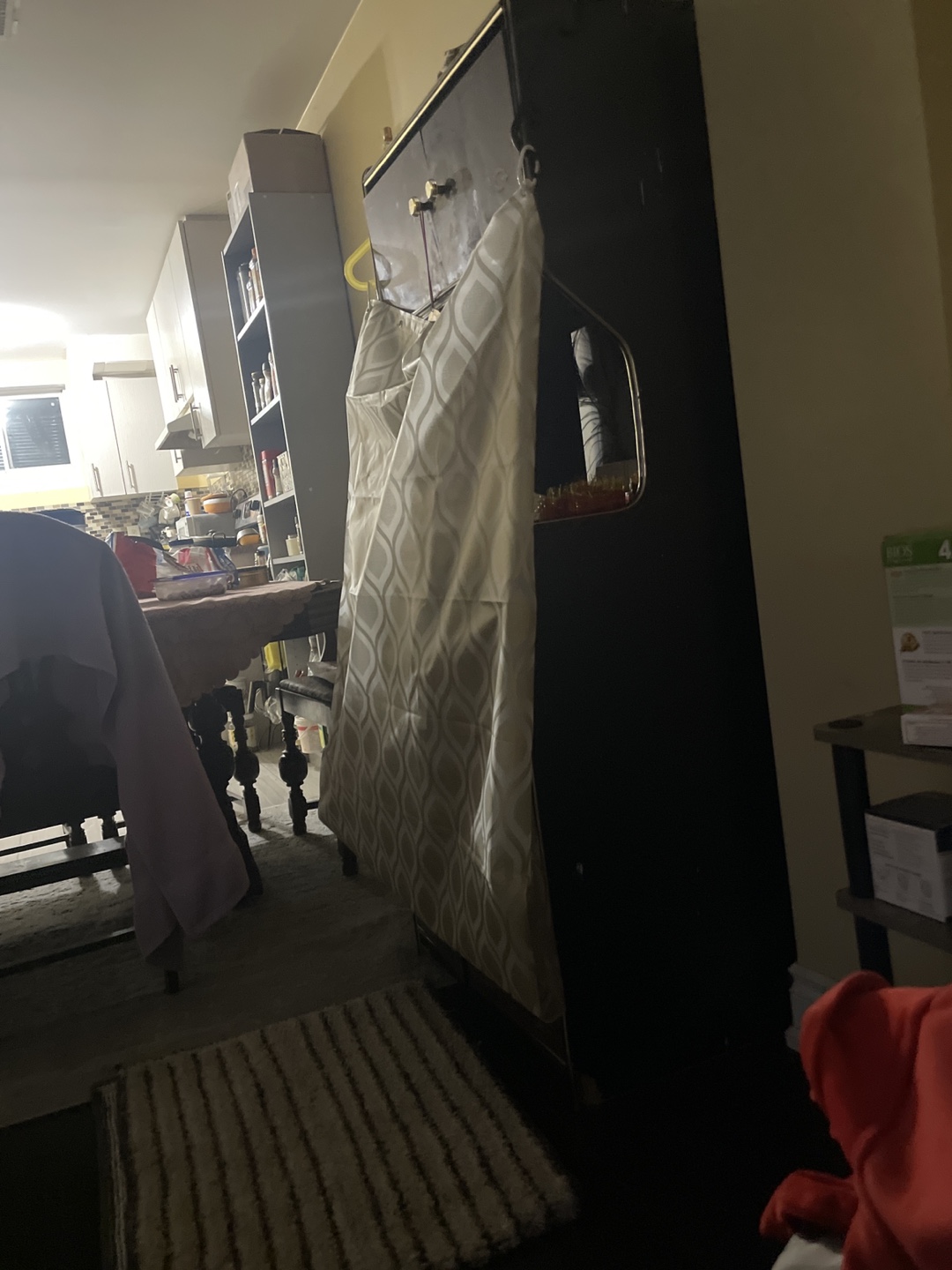 Tall Black Cabinet with doors