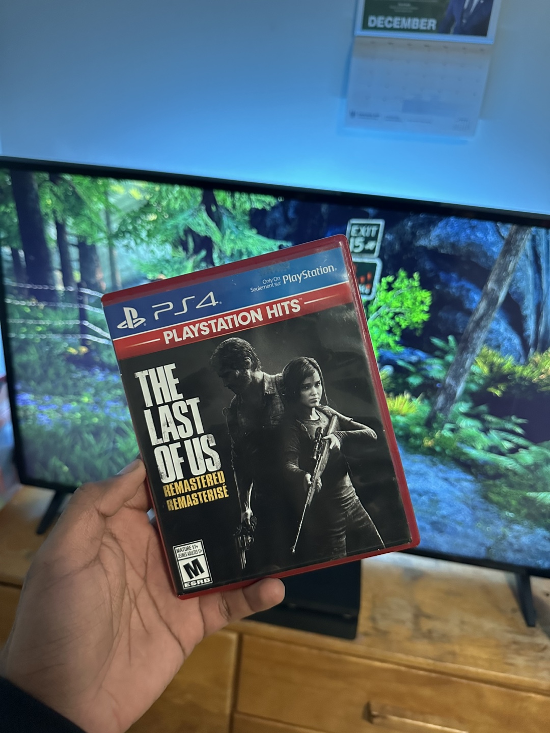 PS4 The Last of Us Remastered Game