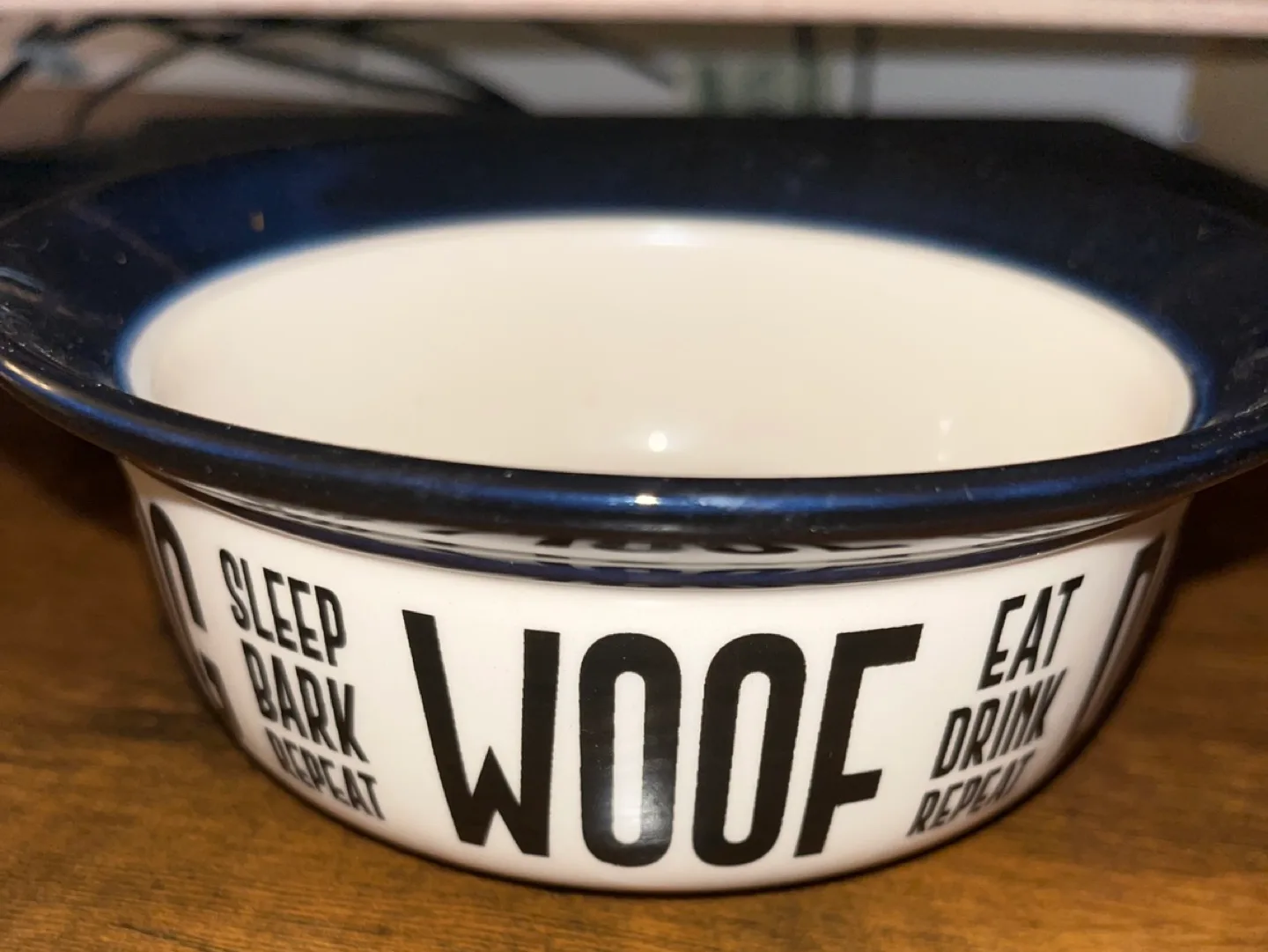 Dog Bowl thumbnail