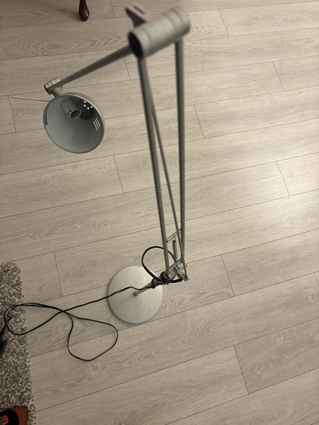 Adjustable Floor Lamp