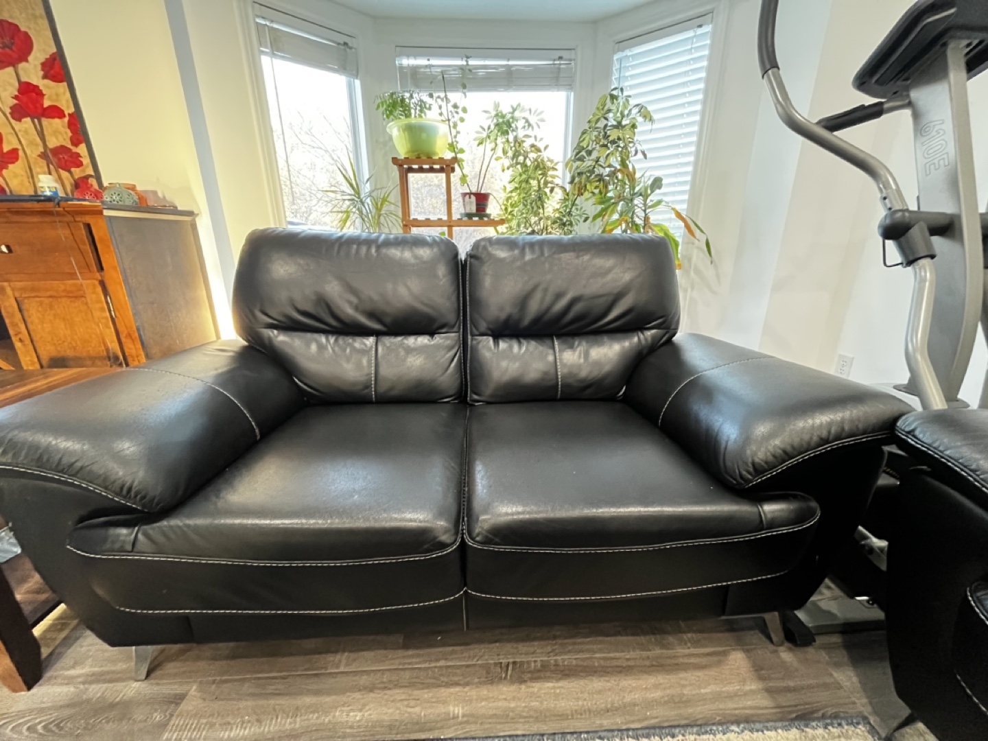 Black Leather Loveseat and Sofa Set