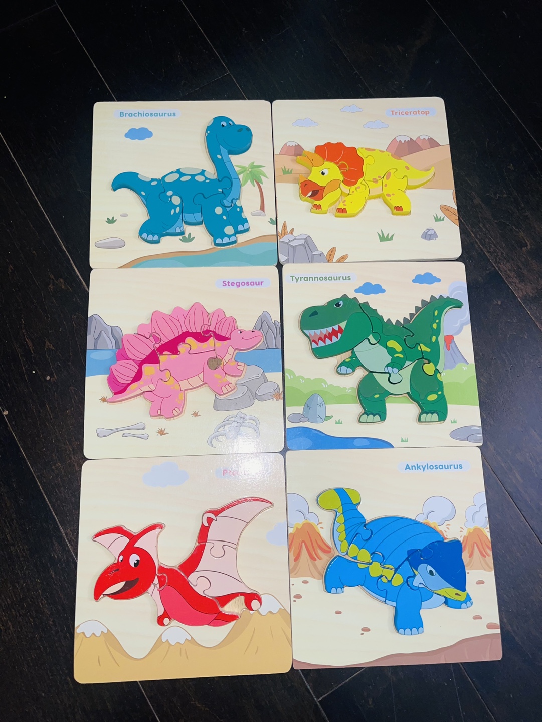 Dinosaur Wooden Puzzles for Toddlers